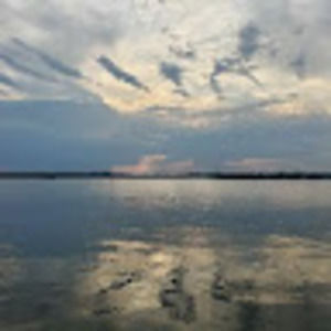 Meet your Posher, Alina